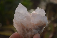 Natural Spirit Cactus Flower Quartz Clusters x 6 From Boekenhouthoek, South Africa