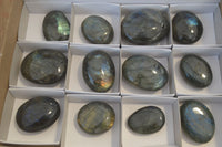 Polished Flashy Labradorite Palm Stones  x 12 From Tulear, Madagascar