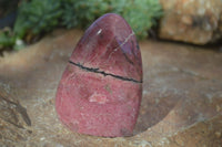 Polished Pink Rhodonite Standing Free Forms x 3 From Madagascar