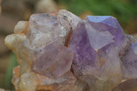 Natural Jacaranda Amethyst Clusters  x 2 From Mumbwa, Zambia - TopRock