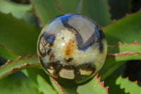 Polished Gorgeous Septerye Spheres x 4 From Madagascar