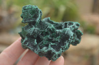 Natural Botryoidal Fibrous Malachite Specimens  x 6 From Kasompe, Congo - TopRock