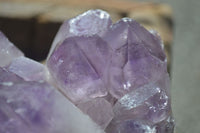 Natural Jacaranda Amethyst Clusters x 2 From Mumbwa, Zambia - TopRock