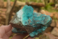 Natural Mixed Chrysocolla Dolomite Specimens (Some With Malachite) x 7 From Congo - TopRock