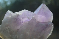 Natural Jacaranda Amethyst Crystal Clusters  x 2 From Mumbwa, Zambia - Toprock Gemstones and Minerals 