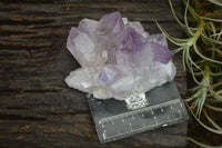 Natural Jacaranda Amethyst Clusters  x 3 From Mumbwa, Zambia - Toprock Gemstones and Minerals 