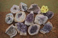 Natural Amethyst & Crystal Centred Geodes  x 12 From Zululand, South Africa - TopRock