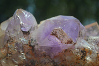 Natural Jacaranda Amethyst Clusters  x 2 From Mumbwa, Zambia - TopRock