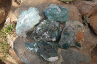 Polished Emerald Mtorolite Plates  x 5 From Zimbabwe