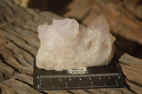 Natural Spirit Cactus Flower Quartz Clusters x 6 From Boekenhouthoek, South Africa