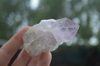 Natural Single Zambian Jacaranda Amethyst Points - Sold per 1.6 kg (24 points per tray) - From Mumbwa, Zambia - TopRock