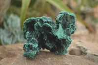 Natural Botryoidal Fibrous Malachite Specimens  x 6 From Kasompe, Congo - TopRock