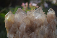 Natural Cascading Smokey Quartz Clusters x 3 From Luena, Congo