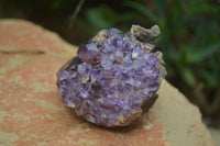 Natural Conglomerate Amethyst Clusters (Man Made) x 6 From Chiredzi, Zimbabwe - TopRock