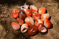 Polished Beautiful Selection Of Carnelian Agate Eggs  x 20 From Madagascar - TopRock