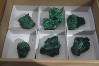 Natural Chatoyant Silky Malachite Specimens  x 6 From Kasompe, Congo