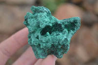 Natural Chatoyant Silky Malachite Specimens  x 12 From Kasompe, Congo - TopRock