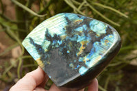 Polished Labradorite Standing Free Form With A Full Face Flash x 1 From Tulear, Madagascar - TopRock