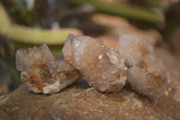 Natural Mixed Spirit Quartz Crystals x 70 From Boekenhouthoek, South Africa