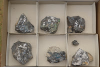 Natural Silver Lead Galena Specimens (Some With Copper) x 6 From Namibia - TopRock