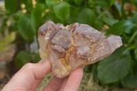 Natural Red Hematite Quartz Clusters  x 4 From Karoi, Zimbabwe - TopRock