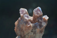 Natural Sugar Amethyst Clusters  x 6 From Zambia - Toprock Gemstones and Minerals 