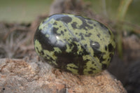 Polished Leopard Stone Palm Stones  x 6 From Zimbabwe