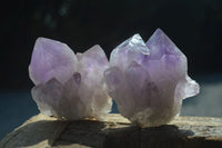 Natural Jacaranda Amethyst Clusters  x 6 From Mumbwa, Zambia - Toprock Gemstones and Minerals 