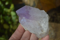 Natural Single Jacaranda Amethyst Crystals x 12 From Mumbwe, Zambia