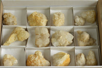 Natural Pineapple/Candle Quartz Clusters  x 14 From Madagascar - TopRock