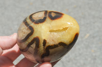 Polished Septaria Dragon's Eggs (Calcite & Aragonite) x 3 From Mahajanga, Madagascar - TopRock