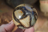 Polished Gorgeous Septerye Spheres x 4 From Madagascar