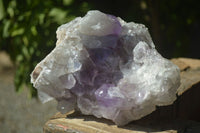 Natural Jacaranda Amethyst Clusters  x 2 From Zambia - Toprock Gemstones and Minerals 