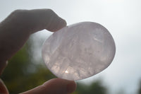 Natural Large Gemmy Pink Rose Quartz Palm Stones  x 12 From Madagascar - Toprock Gemstones and Minerals 