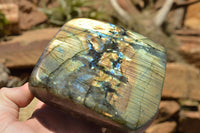 Polished Labradorite Standing Free Forms With Intense Blue & Gold Flash x 2 From Sakoany, Madagascar - TopRock