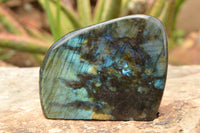 Polished Labradorite Standing Free Form With A Full Face Flash x 1 From Tulear, Madagascar - TopRock