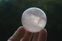 Polished Rare Star Rose Quartz Spheres  x 6 From Ambatondrazaka, Madagascar - Toprock Gemstones and Minerals 