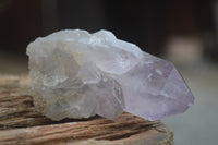 Natural Single Zambian Jacaranda Amethyst Points - Sold per 1.6 kg (24 points per tray) - From Mumbwa, Zambia - TopRock