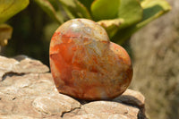 Natural Beautiful Selection Of Large Carnelian Agate Hearts  x 6 From Madagascar - TopRock