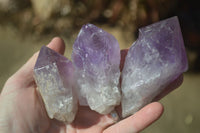 Natural Single Jacaranda Amethyst Crystals x 12 From Mumbwe, Zambia