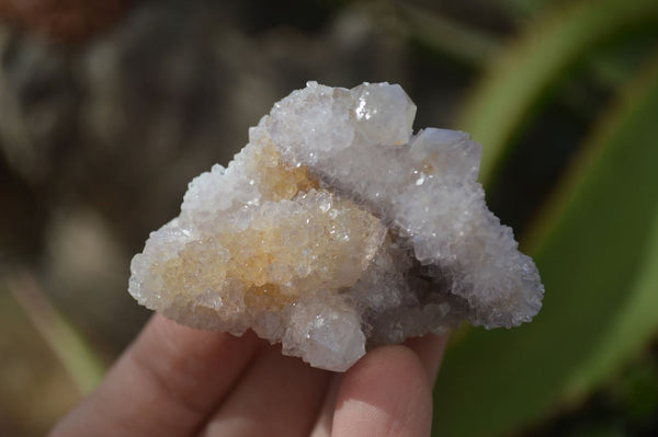 Natural Spirit Quartz Clusters x 12 From Boekenhouthoek, South Africa