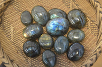 Polished Flashy Labradorite Palm Stones  x 12 From Tulear, Madagascar