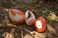 Polished Beautiful Selection Of Carnelian Agate Eggs  x 20 From Madagascar - TopRock