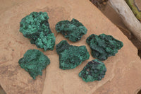 Natural Chatoyant Silky Malachite Specimens  x 6 From Kasompe, Congo