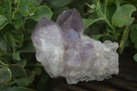 Natural Jacaranda Amethyst Clusters  x 3 From Mumbwa, Zambia - Toprock Gemstones and Minerals 