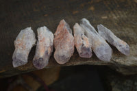 Natural Single Sugar Amethyst Crystals  x 70 From Zambia - Toprock Gemstones and Minerals 