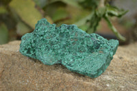 Natural Botryoidal Fibrous Malachite Specimens  x 6 From Kasompe, Congo - TopRock