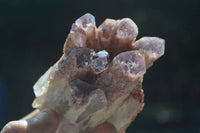 Natural Sugar Amethyst Clusters  x 6 From Zambia - Toprock Gemstones and Minerals 