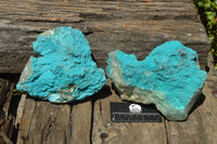 Natural Bright Blue Botryoidal Chrysocolla Specimens x 2 From Lupoto, Congo - TopRock