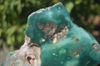 Polished Green Mtorolite / Chrome Chrysoprase Plates  x 3 From Zimbabwe - Toprock Gemstones and Minerals 